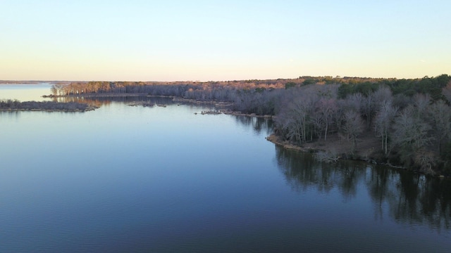 3266 Shadow Pine Dr, Larue, TX 75770