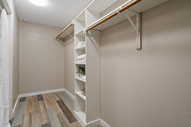 spacious closet featuring wood finished floors