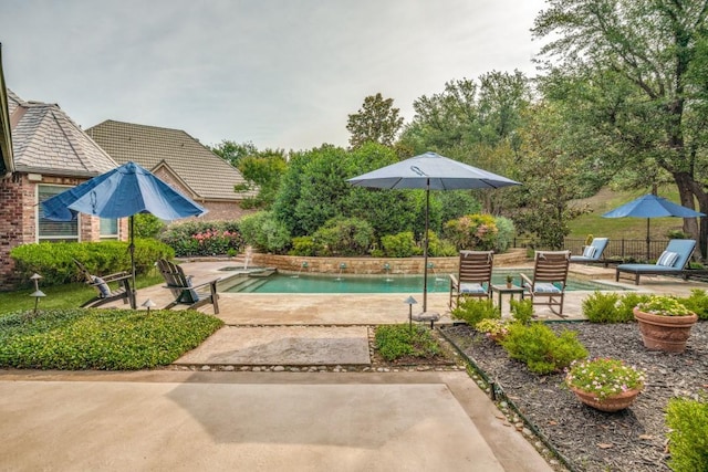 4592 Biltmoore Dr, Frisco, TX 75034 - outdoor pool featuring a patio