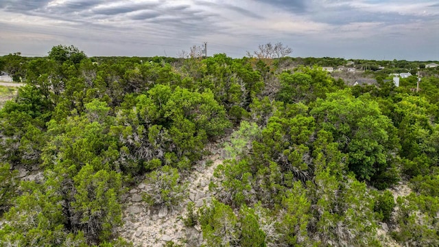 1207 Ridgeview Cir, Granbury, TX 76048