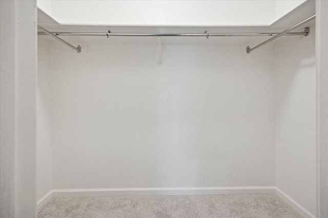 spacious closet with carpet flooring