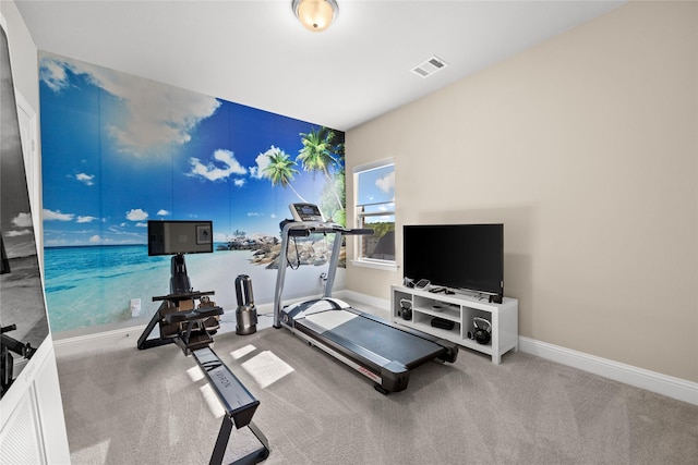 exercise area with visible vents, baseboards, and carpet