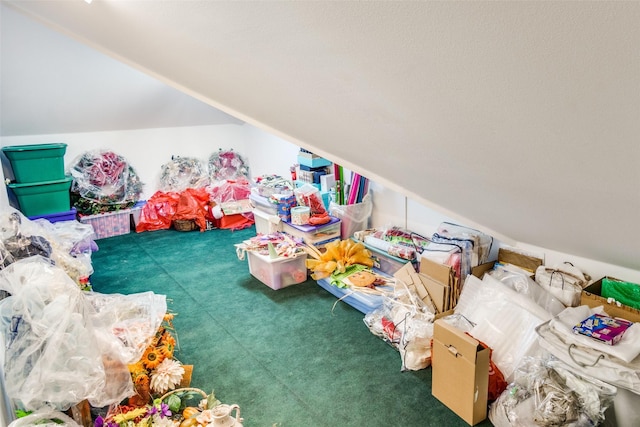 5816 Forest Highlands Dr, Fort Worth, TX 76132 - playroom featuring lofted ceiling and carpet