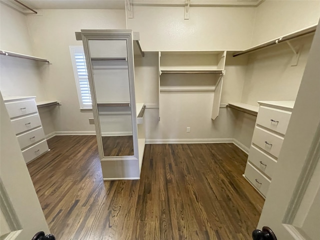 1304 Rollie Michael Ln, Fort Worth, TX 76179 - spacious closet featuring dark wood-style flooring