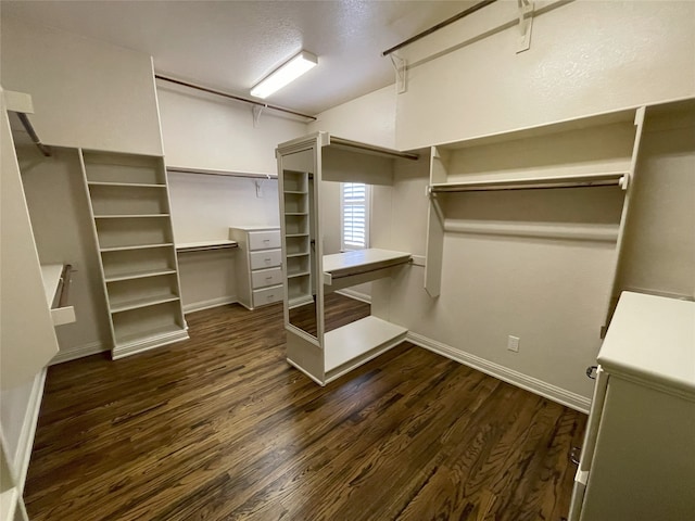 1304 Rollie Michael Ln, Fort Worth, TX 76179 - walk in closet with dark wood-style floors