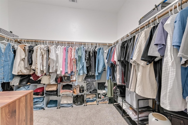 3213 Grimaldo Dr, Mesquite, TX 75126 - walk in closet with carpet flooring
