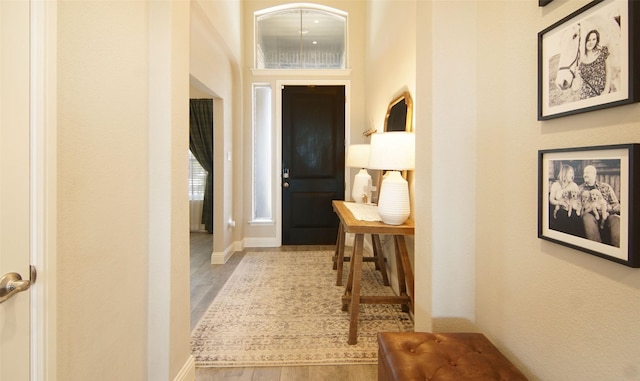 interior space featuring baseboards, a high ceiling, and wood finished floors