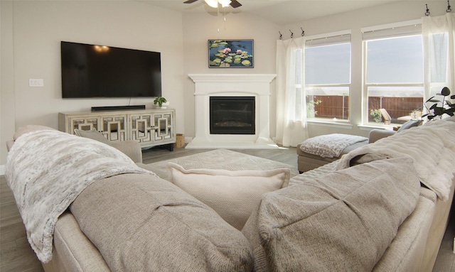 living area featuring wood finished floors, ceiling fan, and a glass covered fireplace