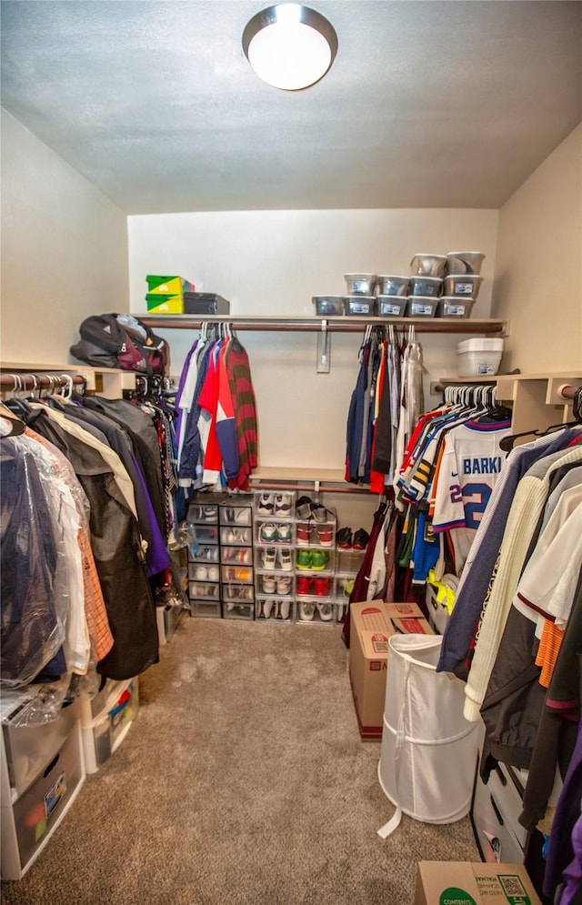 walk in closet featuring carpet