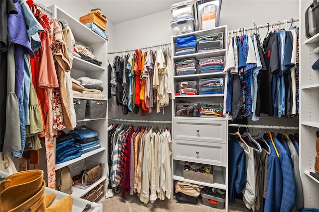 spacious closet featuring carpet floors