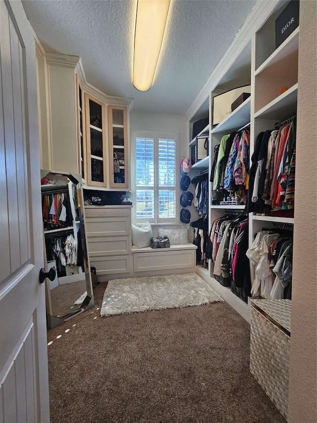 spacious closet with carpet