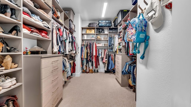 1651 Wynne Ave, Prosper, TX 75078 - walk in closet featuring carpet