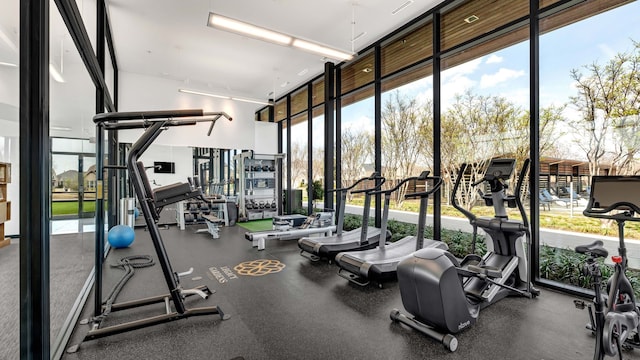 1651 Wynne Ave, Prosper, TX 75078 - gym featuring a wall of windows