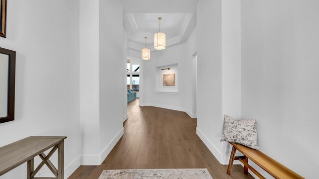 1651 Wynne Ave, Prosper, TX 75078 - hallway featuring wood finished floors, a raised ceiling, baseboards, and ornamental molding