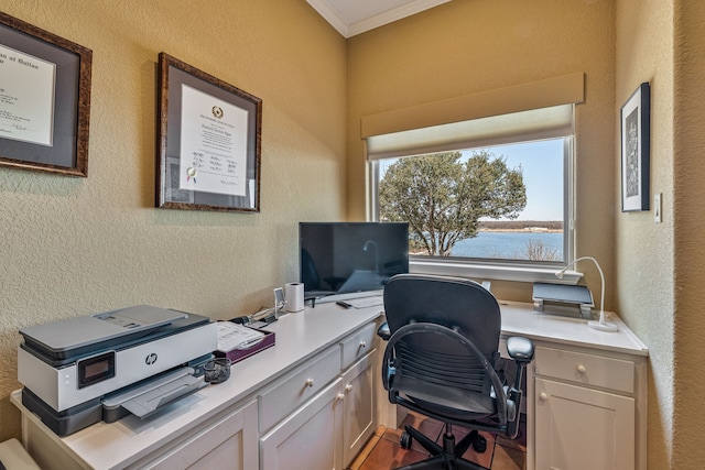 4204 Bluff View Dr, Granbury, TX 76048 - office space with ornamental molding and a textured wall