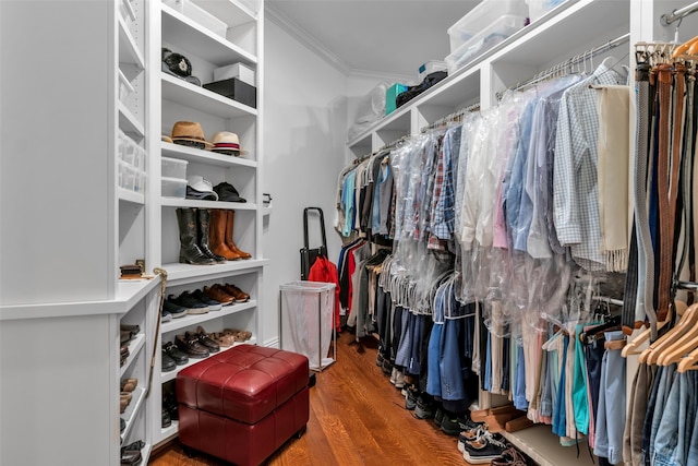 spacious closet with wood finished floors