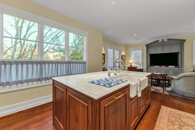 kitchen with light countertops, a sink, dark wood-style floors, open floor plan, and ornamental molding