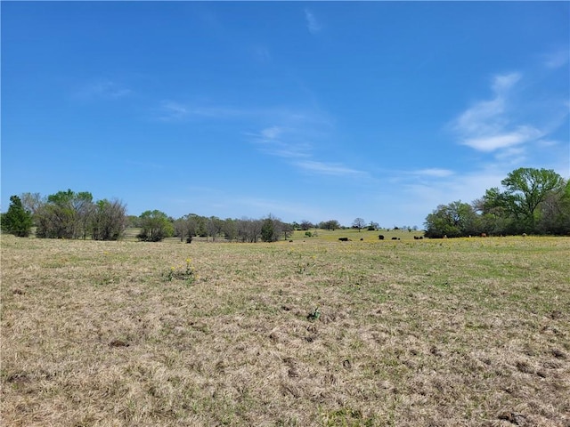 185.80AC Lcr 866, Donie, TX 75838