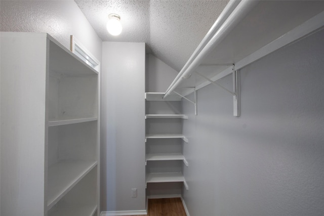 spacious closet with wood finished floors