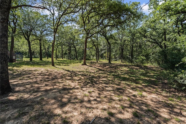 161 Mariah Dr, Weatherford, TX 76087 - view of local wilderness