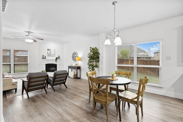 dining room with visible vents, light wood finished floors, plenty of natural light, and a fireplace