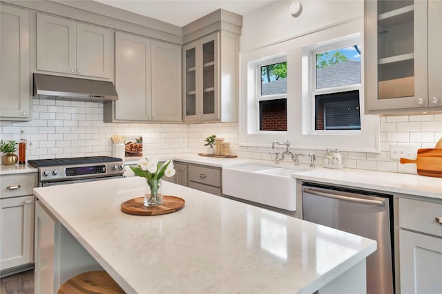 930 N Clinton Ave, Dallas, TX 75208 - kitchen featuring appliances with stainless steel finishes, under cabinet range hood, a sink, decorative backsplash, and dark wood-type flooring