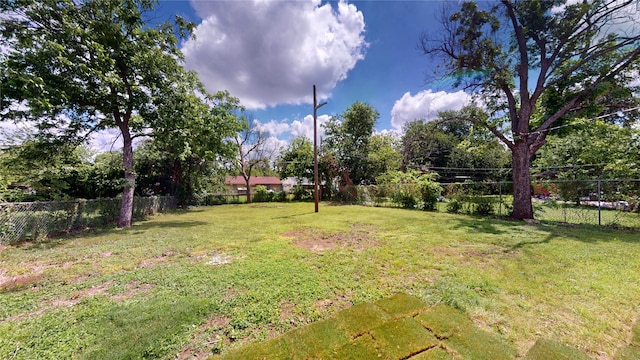 5609 Maceo Ln, Fort Worth, TX 76112 - view of yard