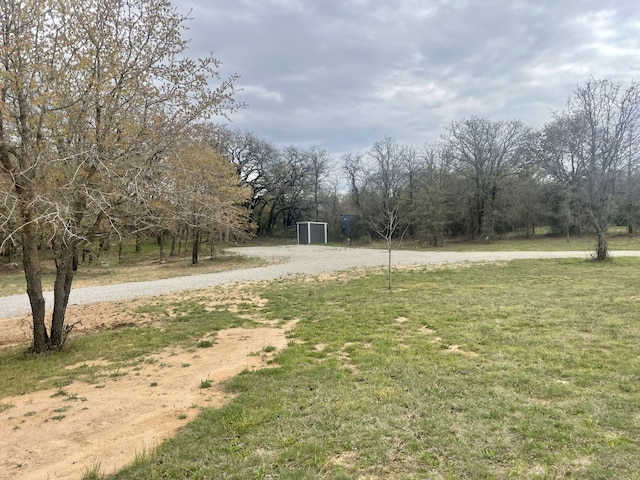 view of yard with curved driveway