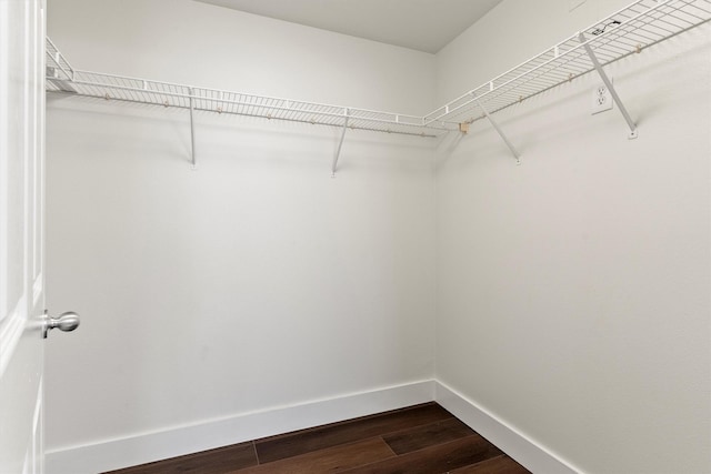 spacious closet with dark wood-style floors