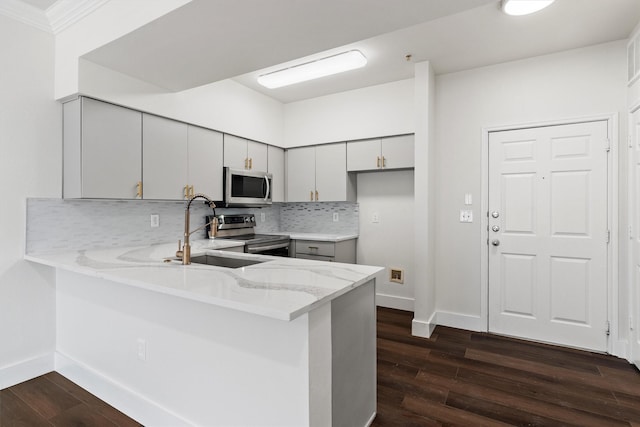 kitchen featuring a sink, stainless steel appliances, tasteful backsplash, dark wood-type flooring, and a peninsula