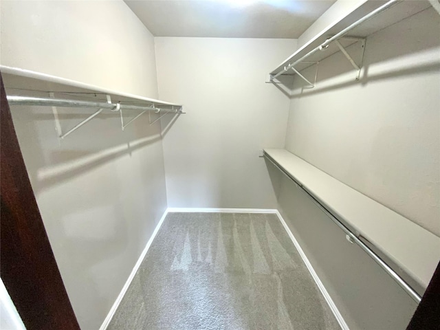 1332 Burmeister Rd, Fort Worth, TX 76134 - walk in closet featuring carpet flooring