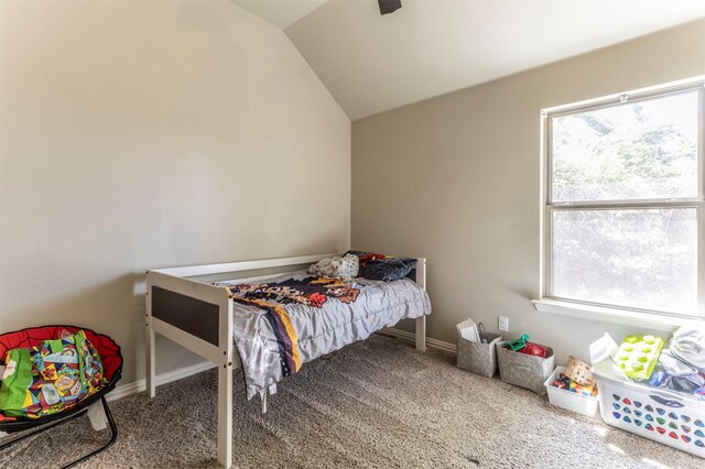 2024 Castleberry Cut-Off Rd, Fort Worth, TX 76114 - bedroom featuring baseboards, lofted ceiling, and carpet floors