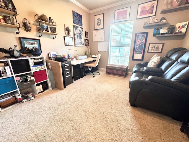 office featuring crown molding, carpet flooring, and baseboards