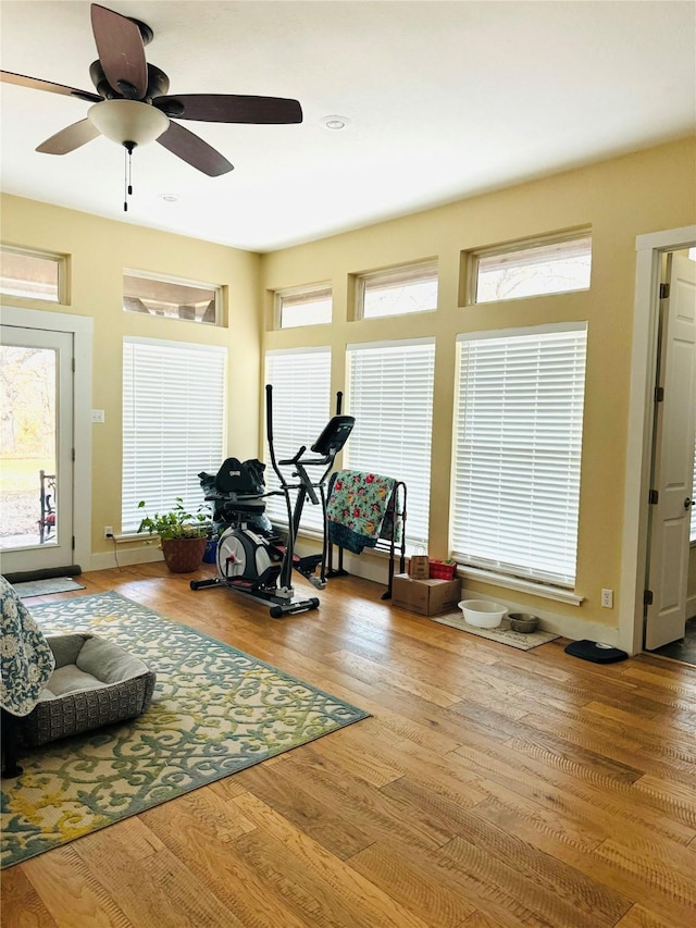exercise room with a ceiling fan and wood finished floors