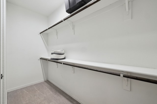 342 Meredith Dr, Fate, TX 75087 - spacious closet featuring light carpet