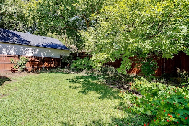 3241 Westcliff Rd W, Fort Worth, TX 76109 - view of yard