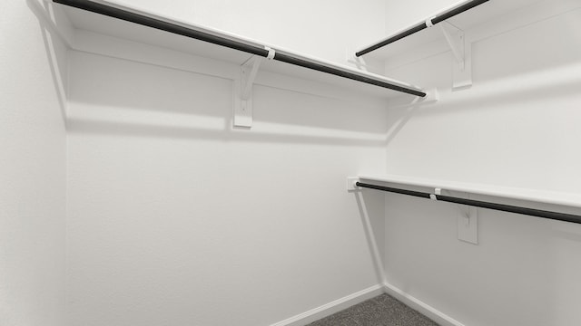 724 Hidden Feather, Lavon, TX 75166 - walk in closet featuring carpet floors