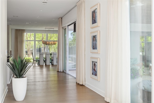hall featuring a wealth of natural light, baseboards, and wood finished floors