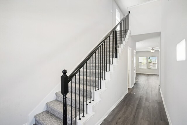 3910 Walmer Way, Princeton, TX 75071 - staircase featuring baseboards, wood finished floors, and a ceiling fan