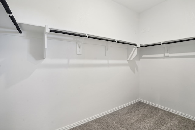 3910 Walmer Way, Princeton, TX 75071 - walk in closet featuring carpet flooring