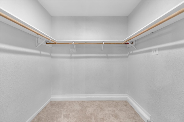2416 Glacier St, Irving, TX 75062 - spacious closet with carpet