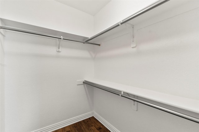 spacious closet featuring dark wood finished floors