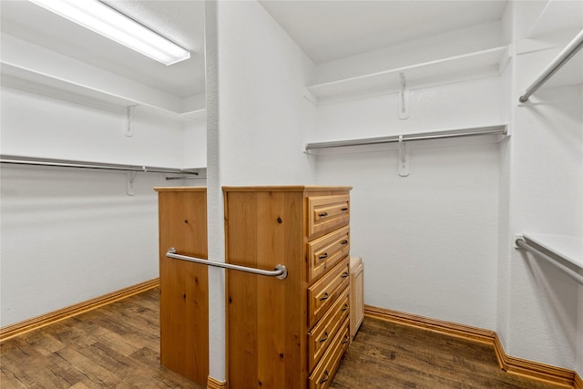 spacious closet featuring dark wood-style floors
