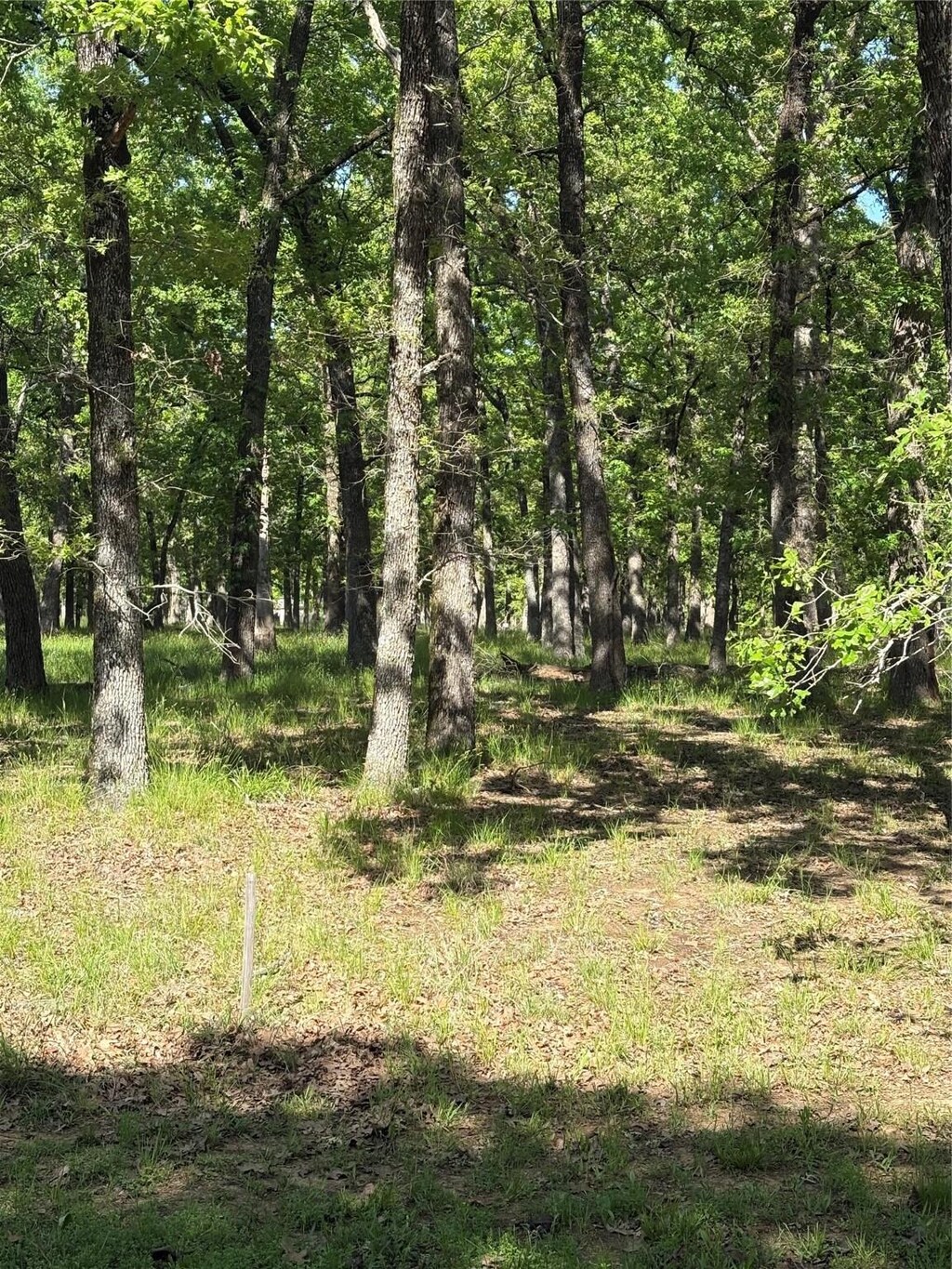 128 Colonial, Mabank, TX 75156