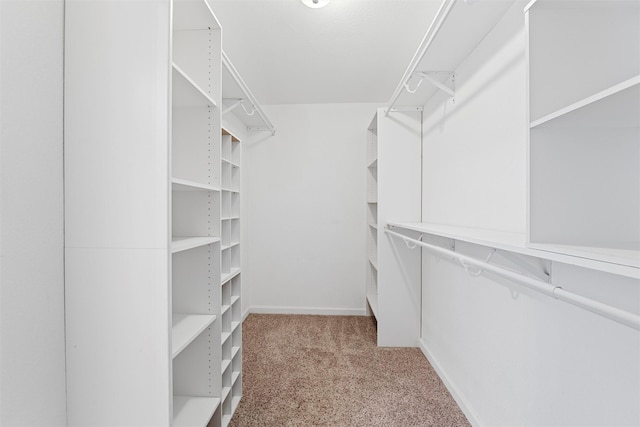 709 Verde Dr, Burleson, TX 76028 - spacious closet with carpet