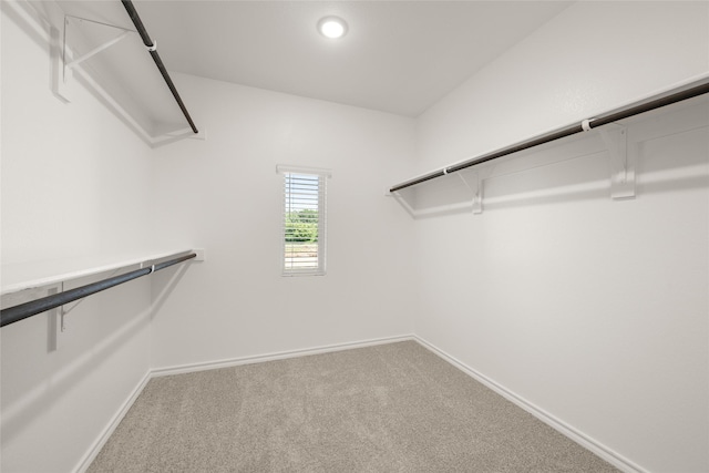 2608 Streamside Dr, Burleson, TX 76028 - walk in closet with carpet flooring