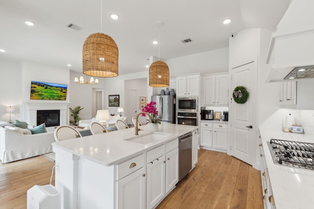 3644 Platte River Trl, Prosper, TX 75078 - kitchen with a sink, stainless steel appliances, custom exhaust hood, visible vents, and open floor plan