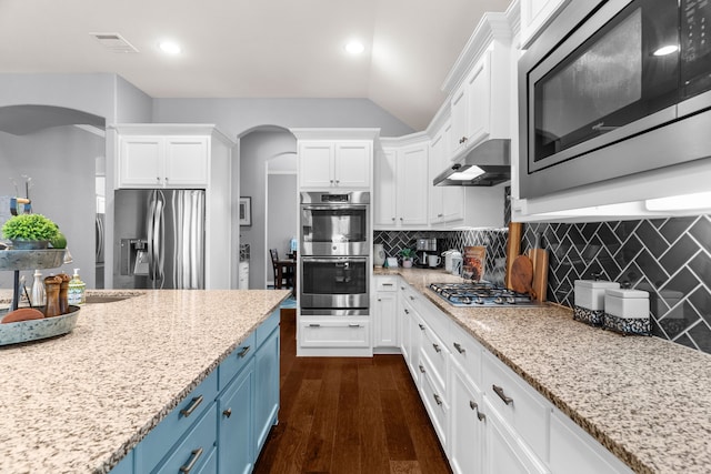 5604 Datewood Ln, Mckinney, TX 75071 - kitchen with arched walkways, stainless steel appliances, under cabinet range hood, blue cabinetry, and white cabinetry