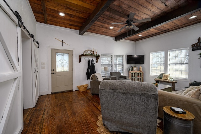living area with beam ceiling, wood ceiling, a barn door, dark wood-type flooring, and a healthy amount of sunlight