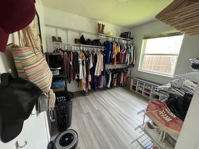 spacious closet featuring wood finished floors
